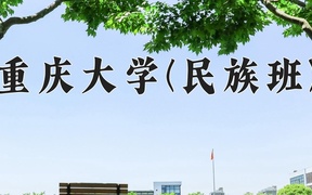 2024重庆大学(民族班)录取分数线，云南最低607分