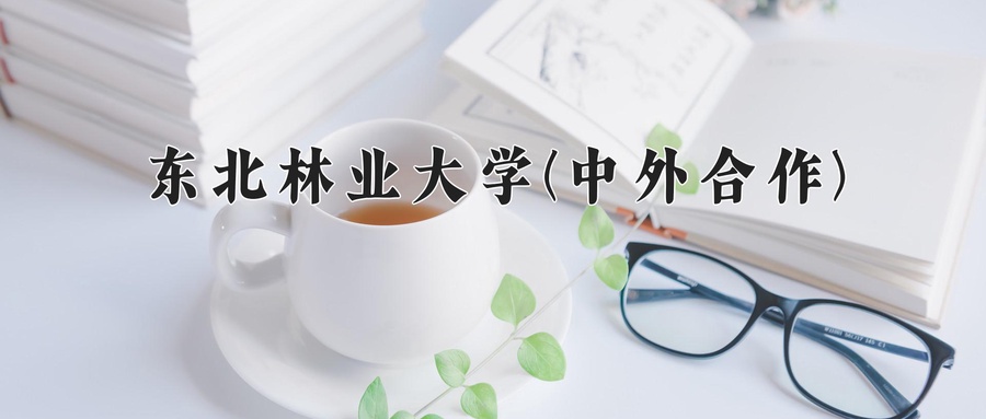 东北林业大学(中外合作)