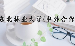 2024东北林业大学(中外合作)录取分数线，重庆录取最低分521