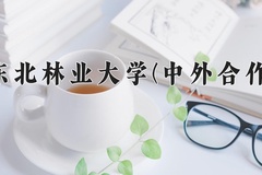 2024东北林业大学(中外合作)录取分数线，重庆录取最低分521