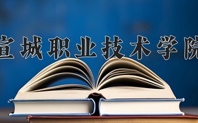 2024宣城职业技术学院录取分数线，重庆录取最低分349