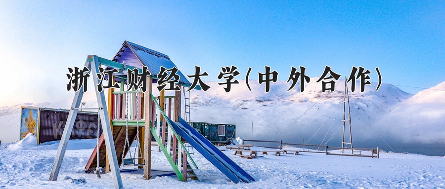 浙江财经大学(中外合作)