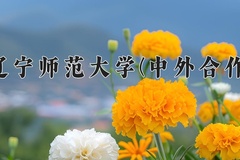 2024辽宁师范大学(中外合作)录取分数线，重庆录取最低分490