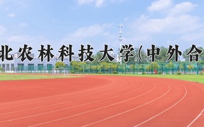 2024西北农林科技大学(中外合作)录取分数线，重庆录取最低分571