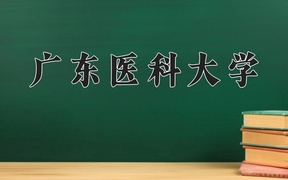 2024广东医科大学录取分数线，重庆录取最低分522