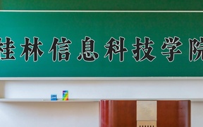2024桂林信息科技学院录取分数线，重庆录取最低分428