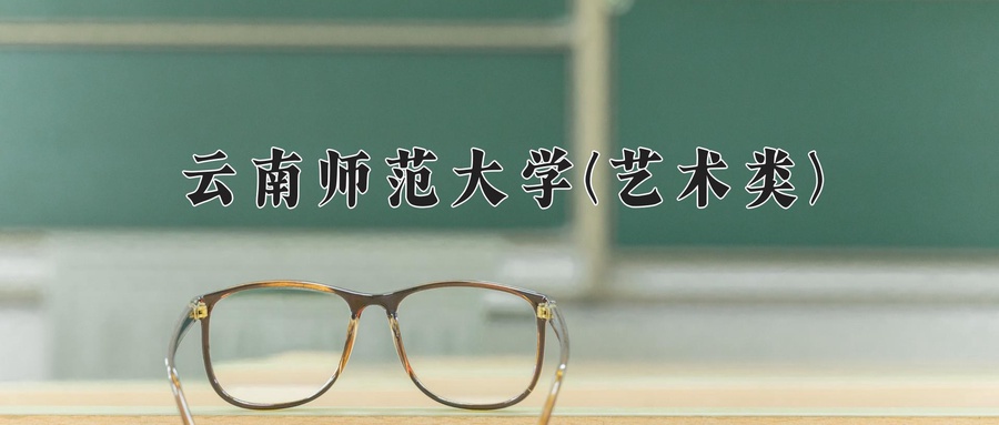 云南师范大学(艺术类)