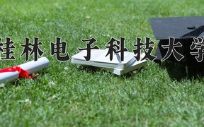 2024桂林电子科技大学录取分数线，重庆录取最低分513