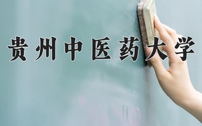 2024贵州中医药大学录取分数线，重庆录取最低分534