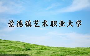 2024景德镇艺术职业大学录取分数线，重庆录取最低分446