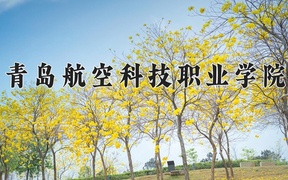 2024青岛航空科技职业学院录取分数线，云南最低340分