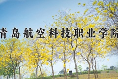 2024青岛航空科技职业学院录取分数线，云南最低340分
