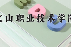 2024文山职业技术学院录取分数线，云南最低272分