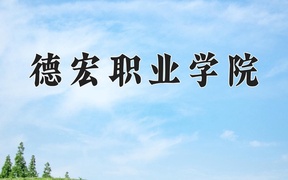 2024德宏职业学院录取分数线，云南最低303分