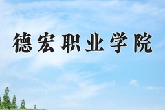 2024德宏职业学院录取分数线，云南最低303分