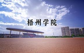 2024梧州学院录取分数线，重庆录取最低分492