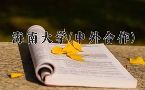 2024海南大学(中外合作)录取分数线，云南最低531分