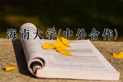 2024海南大学(中外合作)录取分数线，云南最低531分