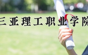2024三亚理工职业学院录取分数线，云南最低272分