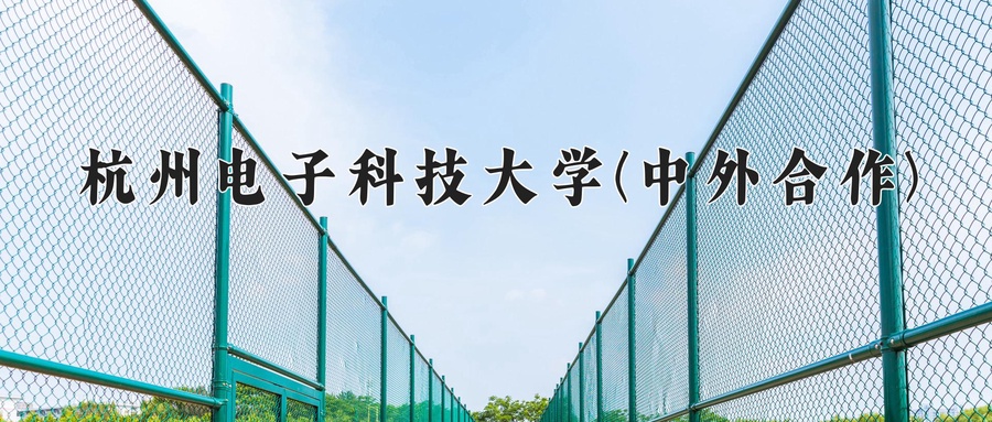 杭州电子科技大学(中外合作)