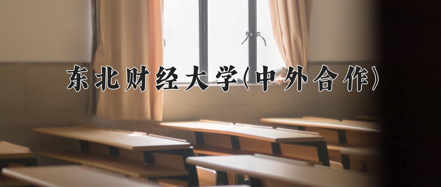 东北财经大学(中外合作)