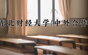 2024东北财经大学(中外合作)录取分数线，云南最低547分