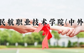 2024广州民航职业技术学院(中外合作)录取分数线，重庆录取最低分419