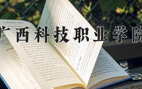 2024广西科技职业学院录取分数线，云南最低307分