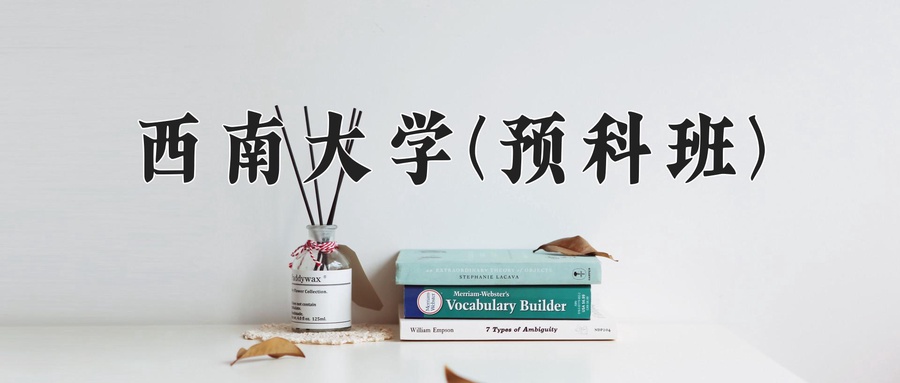 西南大学(预科班)