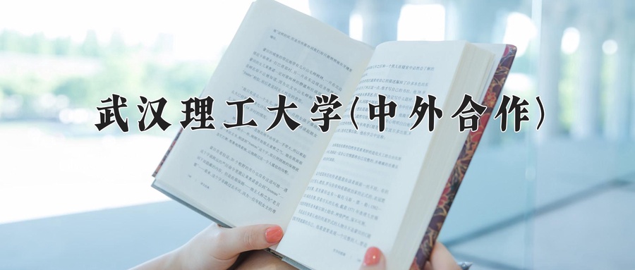武汉理工大学(中外合作)