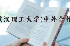 2024武汉理工大学(中外合作)录取分数线，重庆录取最低分592