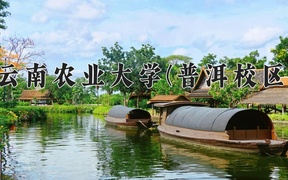 2024云南农业大学(普洱校区)录取分数线，云南最低448分