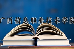 2024广西信息职业技术学院录取分数线，云南最低303分