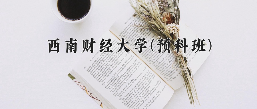 西南财经大学(预科班)