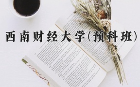 2024西南财经大学(预科班)录取分数线，重庆录取最低分578