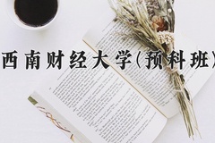 2024西南财经大学(预科班)录取分数线，重庆录取最低分578