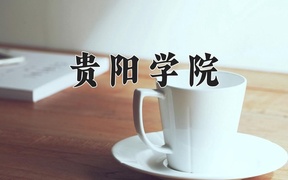 2024贵阳学院录取分数线，云南最低483分