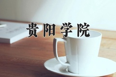 2024贵阳学院录取分数线，云南最低483分