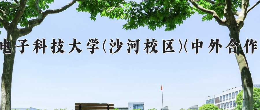 电子科技大学(沙河校区)(中外合作)