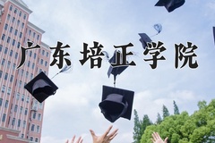 2024广东培正学院录取分数线，重庆录取最低分428