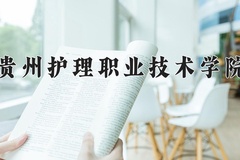 2024贵州护理职业技术学院录取分数线，重庆录取最低分377