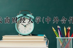 2024云南财经大学(中外合作)录取分数线，重庆录取最低分487