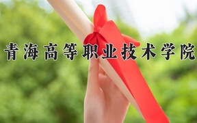 2024青海高等职业技术学院录取分数线，云南最低278分