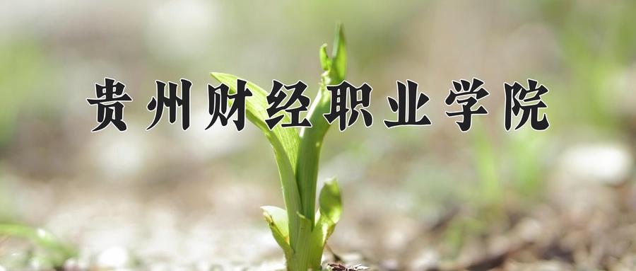 贵州财经职业学院
