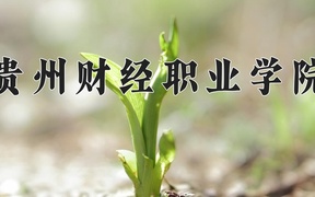 2024贵州财经职业学院录取分数线，重庆录取最低分326