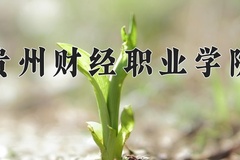 2024贵州财经职业学院录取分数线，重庆录取最低分326