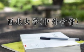 2024西北大学(中外合作)录取分数线，重庆录取最低分581