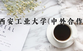 2024西安工业大学(中外合作)录取分数线，重庆录取最低分515