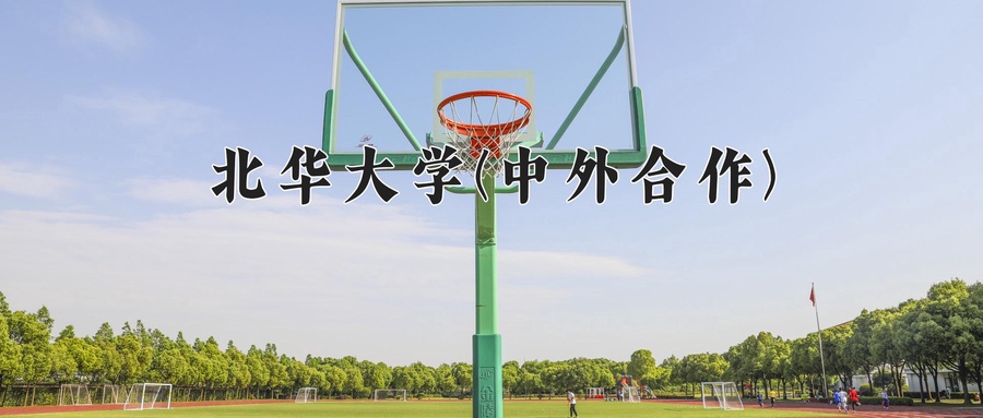 2024北华大学(中外合作)录取分数线，重庆录取最低分504-第1张图片-索考网