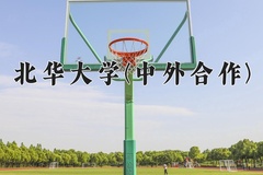 2024北华大学(中外合作)录取分数线，重庆录取最低分504